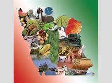 چالشهای ایران در بخش کشاورزی