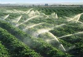 سیستم توزیع آب در بخش کشاورزی کشور بیمار است!