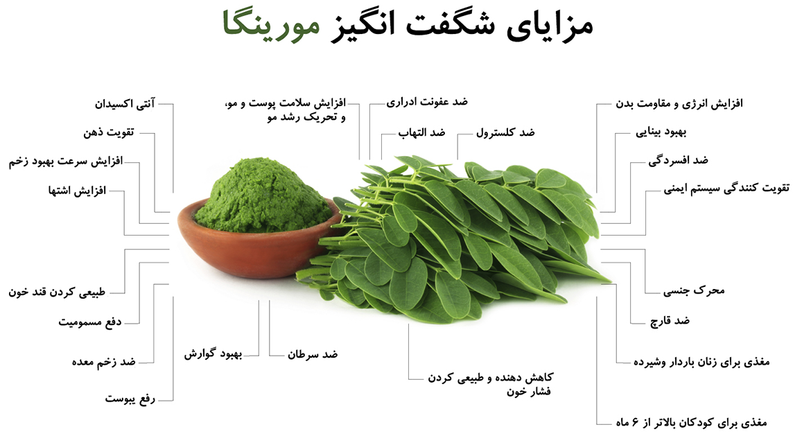 داروهای گیاهی در ایران ناشناخته مانده است
