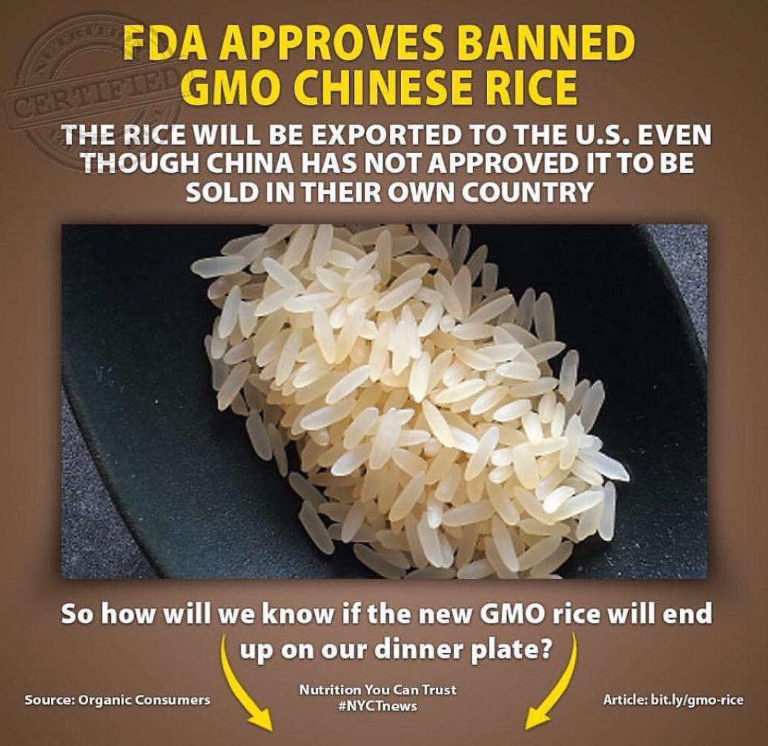 هشدار: تایید برنج تراریخته چینی توسط FDA