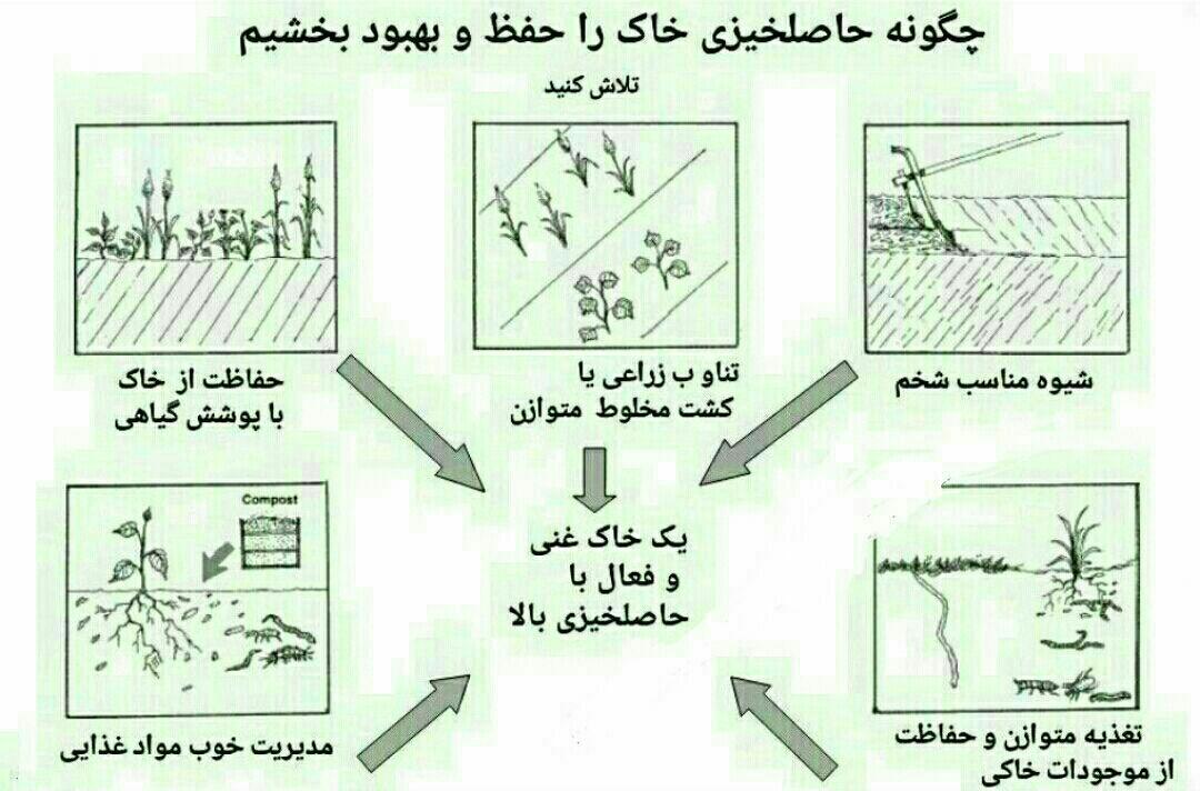 چگونه حاصلخیزی خاک را حفظ و بهبود بخشیم