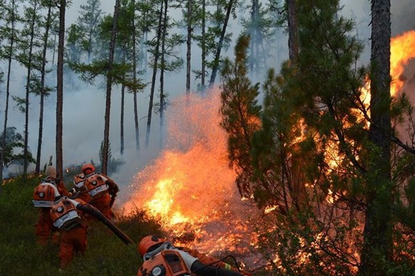 آتش به جان جنگل های چین افتاد
