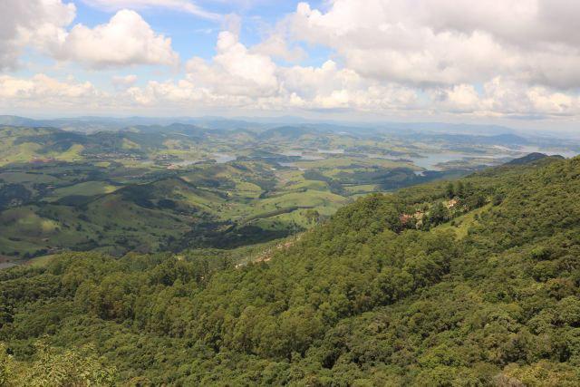  آیا با توسعه جنگل ها میتوان بر مشکلات آبی غلبه کرد!؟ برزیلی ها به دنبال توسعه آبخیزداری و گسترش جنگل‌ها  