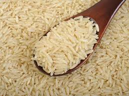 معرفی ارقام جدید برنج برای کشت در شمال کشور