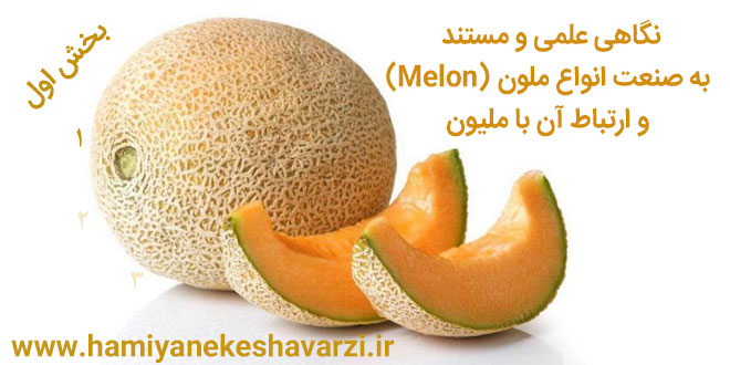 نگاهی علمی و مستند به صنعت انواع ملون (Melon) و ارتباط آن با ملیون – بخش اول