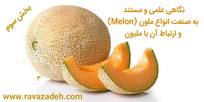 نگاهی علمی و مستند به صنعت انواع ملون (Melon) و ارتباط آن با ملیون – بخش سوم