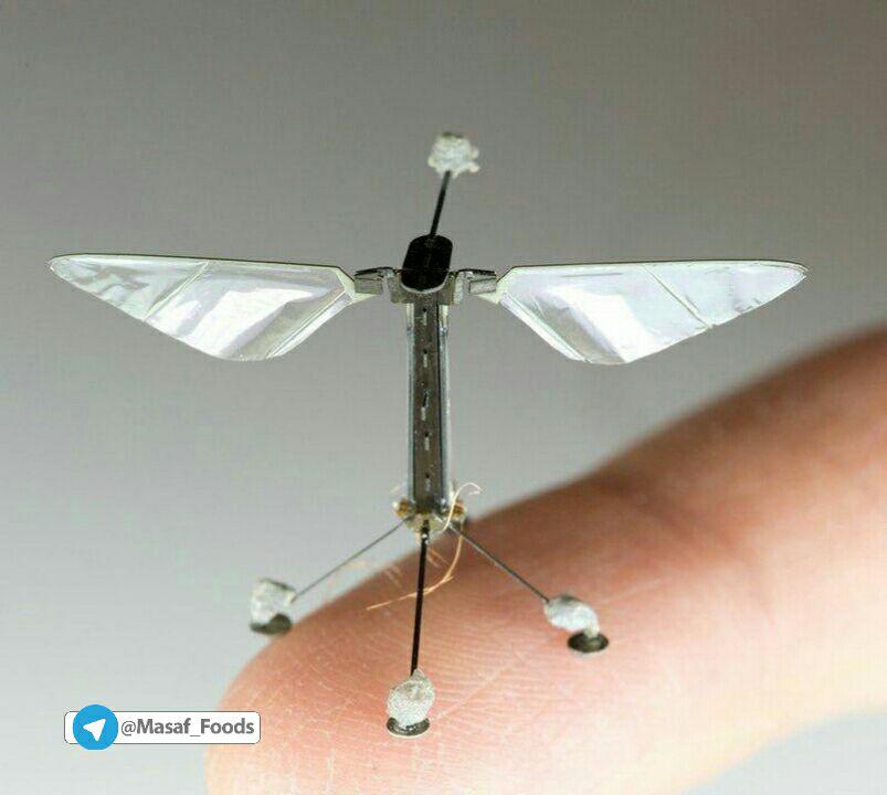  زنبورهای رباتیک گرده‌افشان