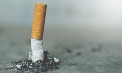 «سیگار» در بروز بیش از ۵۰ نوع سرطان تاثیرگذار است