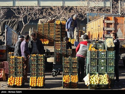 توضیحات سازمان میادین شهرداری تهران در خصوص عرضه محصولات در بازار