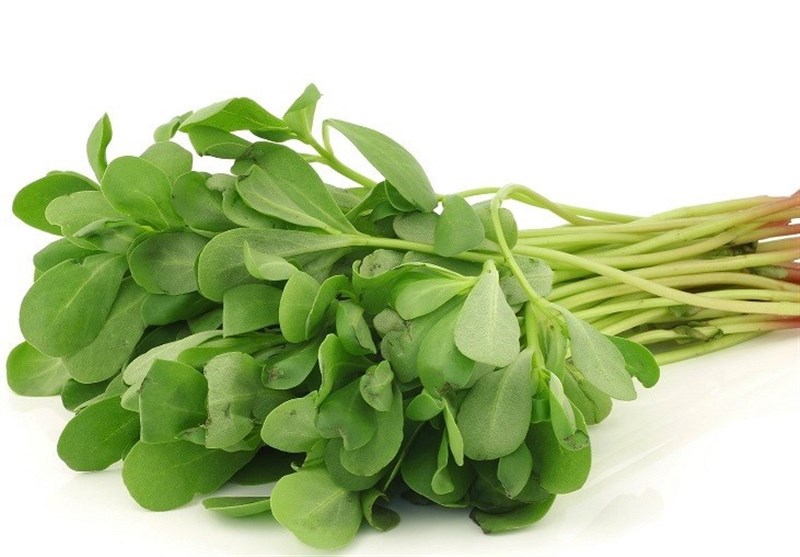مصرف “این سبزی” درمان ۹۹ درد است
