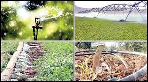 راندمان آبیاری در بخش کشاورزی کشور به ۴۴ درصد رسیده است
