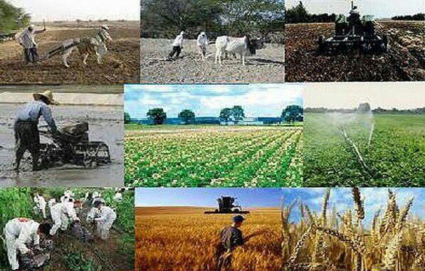 دامداری و کشاورزی در روایات معصومین (علیهم السلام )