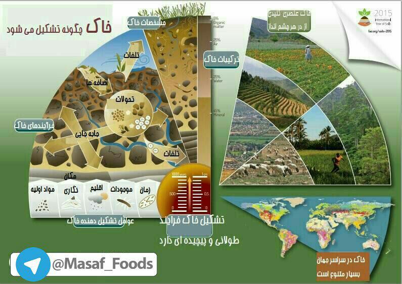 چگونگی تشکیل خاک به روایت اینفوگرافی