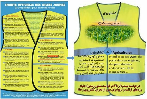 جنبش جلیقه زردهای فرانسه و اروپا چه مطالباتی برای کشاورزی و غذا دارند؟؟