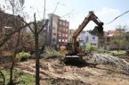 درآمد ۱۰۶ میلیارد تومانی شهرداری تهران از محل قطع درختان