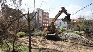 درآمد ۱۰۶ میلیارد تومانی شهرداری تهران از محل قطع درختان