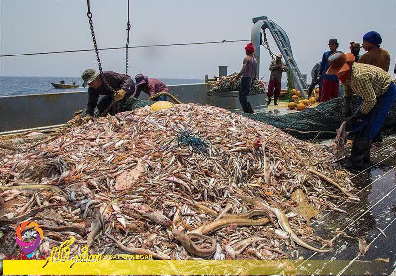 ماهیگیری چینی‌‌ها در آب‌های ایران رسما تایید شد!!