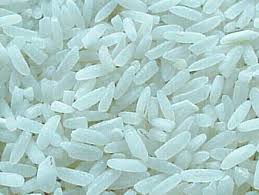 خشکه‌کاری برنج با آبیاری قطره ای در شوش