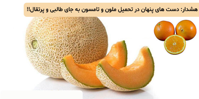 هشدار: دست های پنهان در تحمیل ملون و تامسون به جای طالبی و پرتقال!!