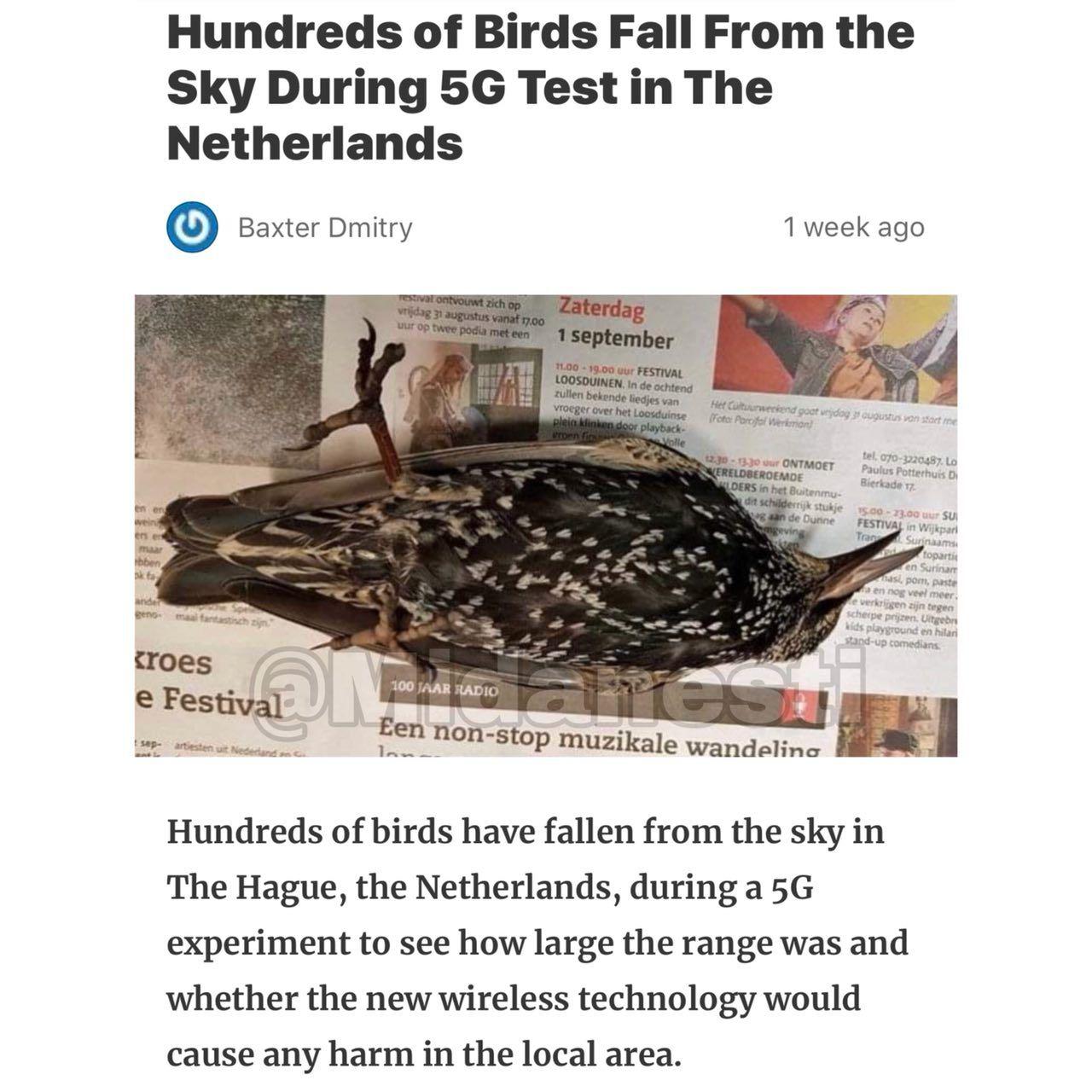 آزمایش اینترنت پرسرعت ۵G در هلند ۲۹۷ پرنده را کشت❗️