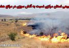 منابع طبیعی استان مرکزی نسبت به آتش سوزی در مراتع هشدار داد