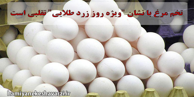 تخم مرغ با نشان “ویژه روز زرد طلایی” تقلبی است