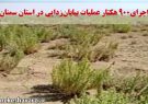 اجرای۹۰۰ هکتار عملیات بیابان‌زدایی در استان سمنان