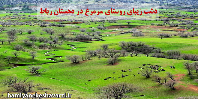 دشت زیبای روستای سرمرغ در دهستان رباط