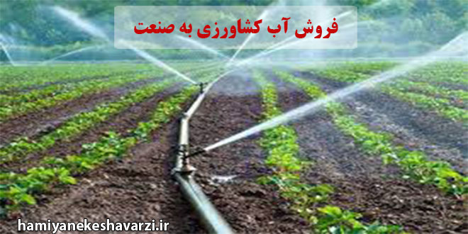 معاون وزیر جهاد کشاورزی: فروش آب کشاورزی به صنعت خلاف قانون است