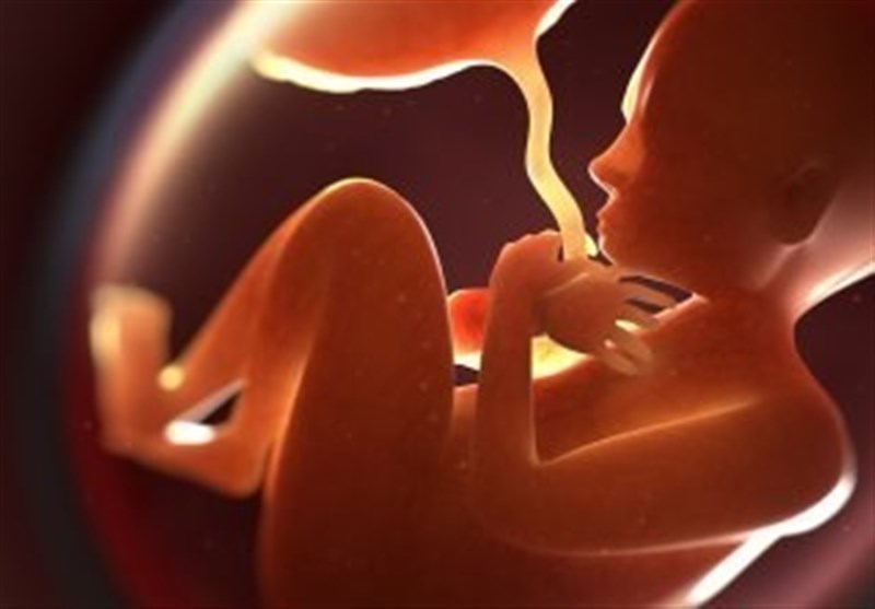 آیا “سقط جنین” با تایید “غربالگری” جایز و شرعی است؟ + پاسخ آیت‌الله سیستانی