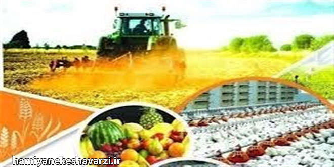 امنیت غذایی پایدار و صیانت از منابع طبیعی، ۲ راهبرد اساسی کشاورزی در گام دوم انقلاب