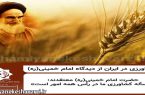 کشاورزی در ایران از دیدگاه امام خمینی(ره)