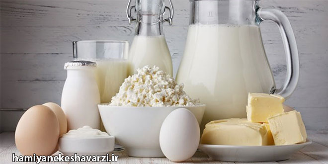 سرنوشت مرغ و تخم‌مرغ در انتظار شیر و لبنیات/ دولت چگونه صنعت تولید پروتئین را زمین زد؟