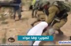 این ویدیو در رسانه‌های عربی موجی از واکنش‌ها راه انداخته