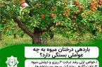 باردهی درختان میوه به چه عواملی بستگی دارد؟