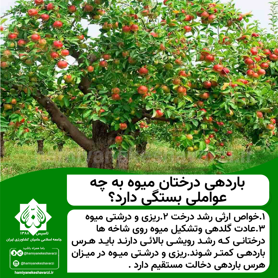 باردهی درختان میوه به چه عواملی بستگی دارد؟