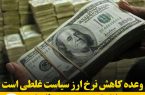 وعده کاهش نرخ ارز سیاست غلطی است