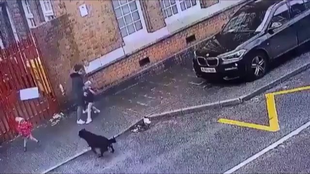 صحنه های دردناک از حمله سگ به کودکان