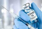 احتمال زیاد مرگ افرادی که سه دوز واکسن کرونا را زده اند