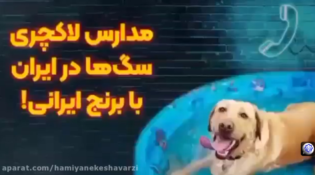 مدارس لاکچری (سگ‌ها) در ایران با برنج ایرانی!