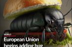 اتحادیه اروپا افزودن مواد افزودنی حشرات به غذا را آغاز کرده است!