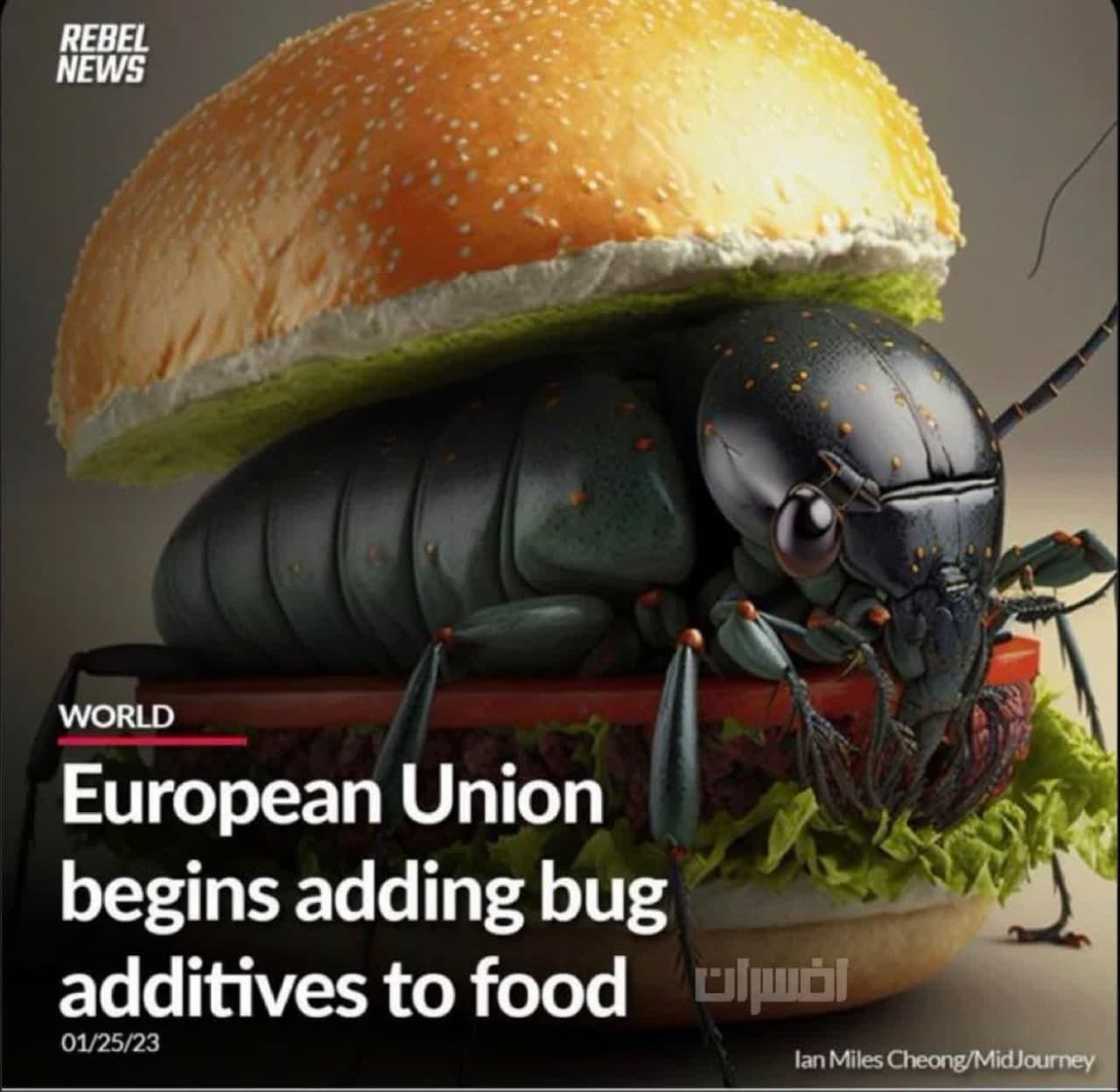 اتحادیه اروپا افزودن مواد افزودنی حشرات به غذا را آغاز کرده است!