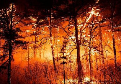 مدیریت بحران به سبک آمریکا ۲۰ روز آتش‌سوزی، ۱۱۴ کشته و ۸۵۰ مفقود
