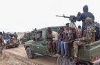 تروریست‌های سومالی ۱۶۰ نظامی ارتش اتیوپی را کشتند