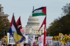 هاروارد: بیش از نیمی از جوانان آمریکایی خواستار پایان موجودیت اسرائیل هستند