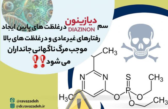 مقاله ۴:سم دیازینون در غلظت های پایین ایجاد رفتارهای غیر عادی و در غلظت های بالا موجب مرگ ناگهانی جانداران می شود!!